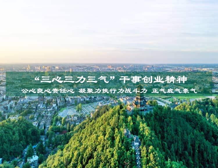 都江堰投資發展集團有限公司